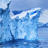 Buy canvas prints of Iceberg Snow Mountains Blue Glaciers Dorian Bay Antarctica by William Perry