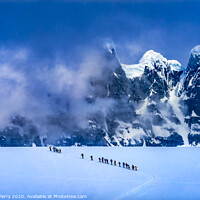 Buy canvas prints of Showshoers Hikers Snow Mountains Damoy Point Antarctica by William Perry