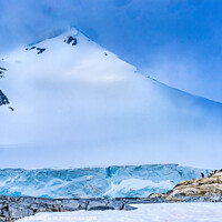 Buy canvas prints of Snow Mountain Blue Glacier Gentoo Penguins Rookery Damoy Point A by William Perry