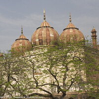 Buy canvas prints of Mughal Buildings Delhi India by William Perry