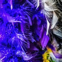 Buy canvas prints of Colorful Feathers Necklaces Mardi Gras New Orleans Louisiana by William Perry