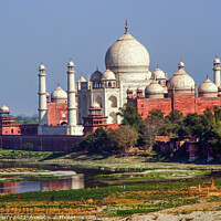 Buy canvas prints of Taj Mahal With River and Reflection Agra India by William Perry