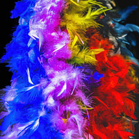 Buy canvas prints of Colorful Feathers Necklaces Mardi Gras New Orleans Louisiana by William Perry