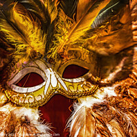 Buy canvas prints of Colorful Orange Yellow Mask Feathers Mardi Gras New Orleans Loui by William Perry