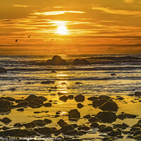 Buy canvas prints of Colorful Yellow Low Tide Pools Canon Beach Oregon by William Perry