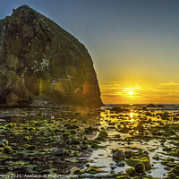 Buy canvas prints of Colorful Yellow Haystack Rock Low Tide Pools Canon Beach Oregon by William Perry