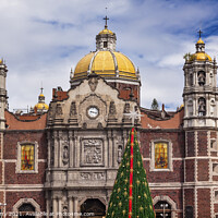 Buy canvas prints of Old Basilica Shrine of Guadalupe Christmas Day Tree Mexico City  by William Perry