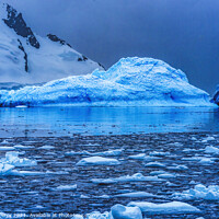 Buy canvas prints of Blue Iceberg Reflection Paradise Bay Skintorp Cove Antarctica by William Perry
