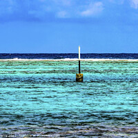 Buy canvas prints of Colorful Blue Water Moorea Tahiti by William Perry