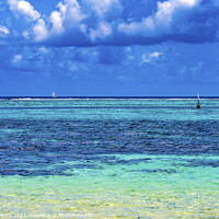 Buy canvas prints of Snorkeling Swimming Colorful Blue Water Moorea Tahiti by William Perry