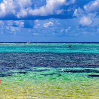 Buy canvas prints of Snorkeling Swimming Colorful Blue Water Moorea Tahiti by William Perry