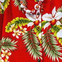Buy canvas prints of Colorful Red Hawaiian Shirt Maui Hawaii by William Perry
