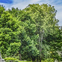 Buy canvas prints of Minuteman Patriot Statue Church Battle Green Common Lexington Ma by William Perry