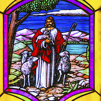 Buy canvas prints of Jesus Shepherd Lambs Stained Glass Mission San Jose del Cabo Me by William Perry