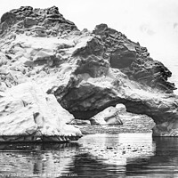 Buy canvas prints of Black White Floating Blue Iceberg Arch Reflection Paradise Bay S by William Perry