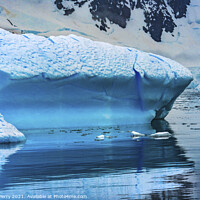 Buy canvas prints of Blue Iceberg Glacier Snow Mountains Paradise Bay Antarctica by William Perry