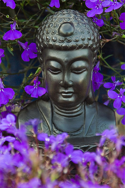Buddha Picture Board by Wayne Molyneux