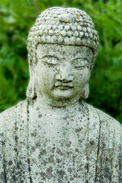 Buddha Picture Board by Wayne Molyneux