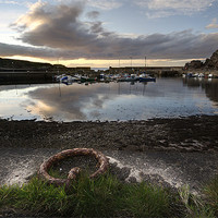 Buy canvas prints of Findochty Harbour by Wayne Molyneux