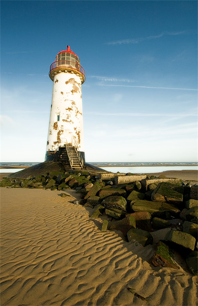 Lighthouse at Talacre Picture Board by Wayne Molyneux