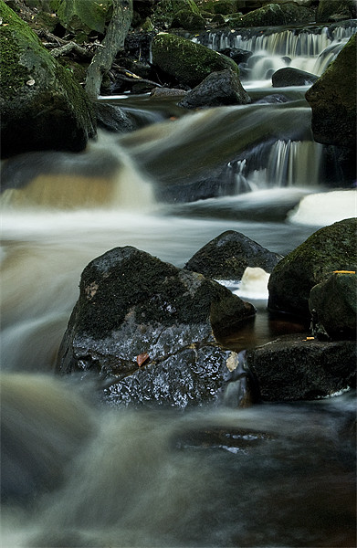 Babbling Burbage Brook Picture Board by Wayne Molyneux