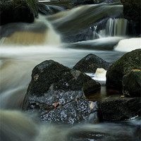 Buy canvas prints of Babbling Burbage Brook by Wayne Molyneux