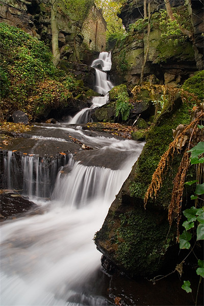 Lumsdale Valley Falls Picture Board by Wayne Molyneux