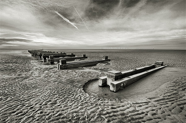 Crosby Beach Picture Board by Wayne Molyneux