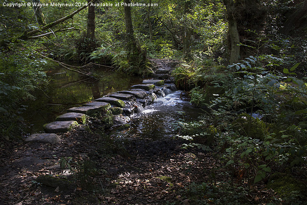  Stepping Stones at Rivelin Picture Board by Wayne Molyneux