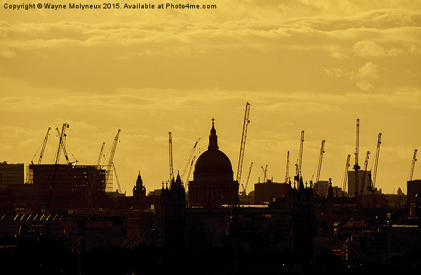  St Pauls Cathedral  Picture Board by Wayne Molyneux