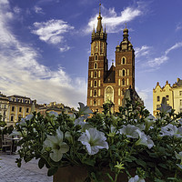 Buy canvas prints of Krakow, Poland : Flower before famous church in th by Arpan Bhatia