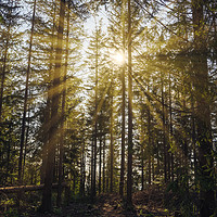 Buy canvas prints of Bielsko Biala, South Poland: Sunrise sunset rays p by Arpan Bhatia