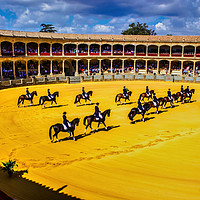 Buy canvas prints of Ronda, Spain : Horse show during Feria season in A by Arpan Bhatia