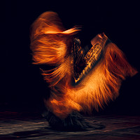 Buy canvas prints of Flamenco dancer in traditional costume with shawl  by Maksim Chernishev