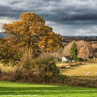 Buy canvas prints of A Quintessential English Countryside Scene by Adele Loney