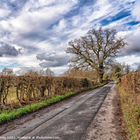 Buy canvas prints of Country Road Take Me Home by Adele Loney