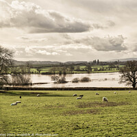 Buy canvas prints of Floods at Lugg Meadows, Hereford by Adele Loney