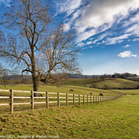 Buy canvas prints of Herefordshire Countryside under a blue sky by Adele Loney