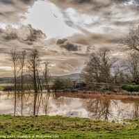 Buy canvas prints of Reflections in the floods by Adele Loney