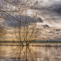 Buy canvas prints of Sunset over Flooded Meadow by Adele Loney