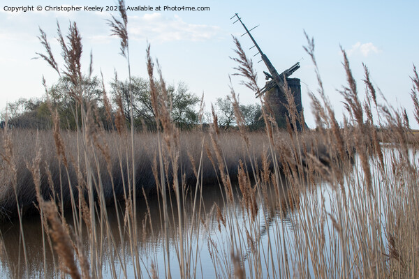 Brograve Mill through the reeds Picture Board by Christopher Keeley