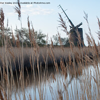 Buy canvas prints of Brograve Mill through the reeds by Christopher Keeley