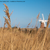 Buy canvas prints of Horsey Windpump through the reeds by Christopher Keeley