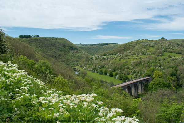 Flowers and sun at Monsal Dale in Derbyshire Picture Board by Christopher Keeley