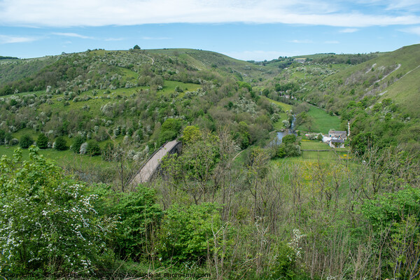 Summer at Monsal Dale Picture Board by Christopher Keeley