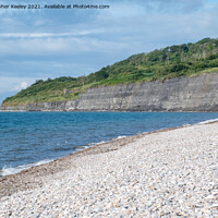 Buy canvas prints of Lyme Regis beach by Christopher Keeley