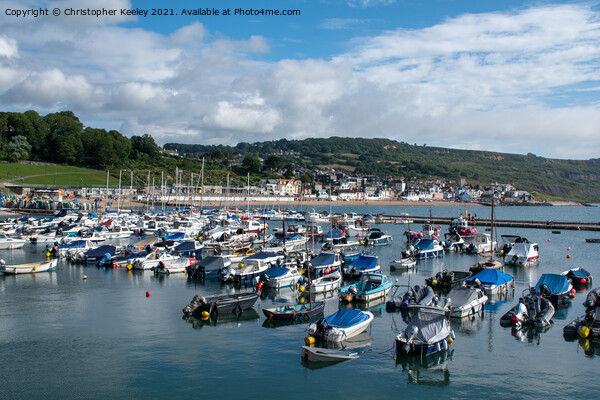 Lyme Regis harbour Picture Board by Christopher Keeley