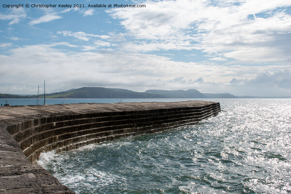 The Cobb at Lyme Regis Picture Board by Christopher Keeley