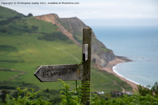 Jurassic Coast at Golden Cap Picture Board by Christopher Keeley