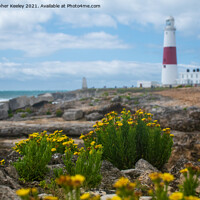 Buy canvas prints of Flowers at Portland Bill Lighthouse by Christopher Keeley